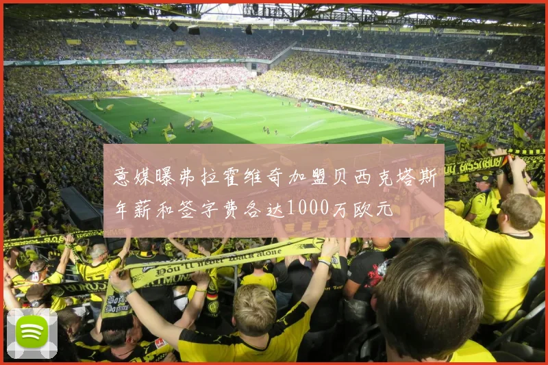 意媒曝弗拉霍维奇加盟贝西克塔斯年薪和签字费各达1000万欧元